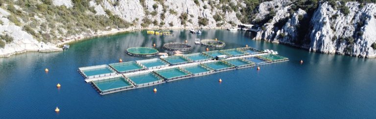 Čistija mora i inovativna akvakultura: AquaBioNets u kontekstu NPRA Hrvatske 2021. – 2027.